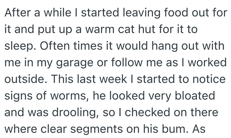 After a while I started leaving food out for it and put up a warm cat hut for it to sleep. Often times it would hang out with me in my garage or follow me as I worked outside. This last week I started to notice signs of worms, he looked very bloated and was drooling, so I checked on there where clear segments on his bum. As