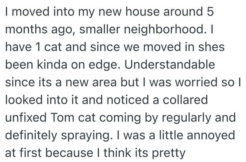 I moved into my new house around 5 months ago, smaller neighborhood. I have 1 cat and since we moved in shes been kinda on edge. Understandable since its a new area but I was worried so I looked into it and noticed a collared unfixed Tom cat coming by regularly and definitely spraying. I was a little annoyed at first because I think its pretty