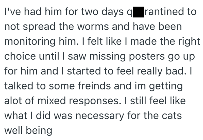 I've had him for two days quarantined to not spread the worms and have been monitoring him. I felt like I made the right choice until I saw missing posters go up for him and I started to feel really bad. I talked to some freinds and im getting alot of mixed responses. I still feel like what I did was necessary for the cats well being