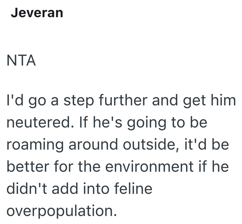 Jeveran NTA I'd go a step further and get him neutered. If he's going to be roaming around outside, it'd be better for the environment if he didn't add into feline overpopulation.