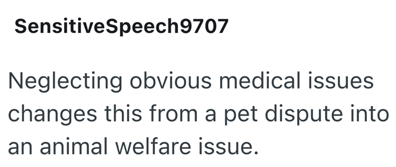 SensitiveSpeech 9707 Neglecting obvious medical issues changes this from a pet dispute into an animal welfare issue.