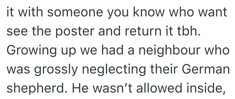 it with someone you know who want see the poster and return it tbh. Growing up we had a neighbour who was grossly neglecting their German shepherd. He wasn't allowed inside,
