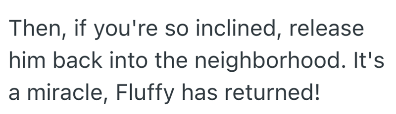 Then, if you're so inclined, release him back into the neighborhood. It's miracle, Fluffy has returned!