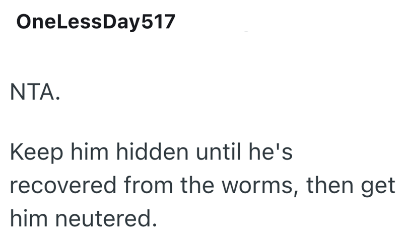 OneLessDay517 NTA. Keep him hidden until he's recovered from the worms, then get him neutered.