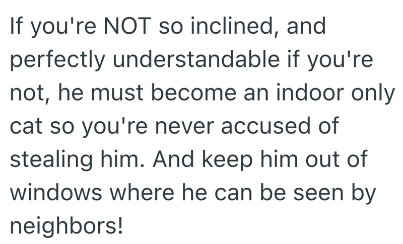 If you're NOT so inclined, and perfectly understandable if you're not, he must become an indoor only cat so you're never accused of stealing him. And keep him out of windows where he can be seen by neighbors!