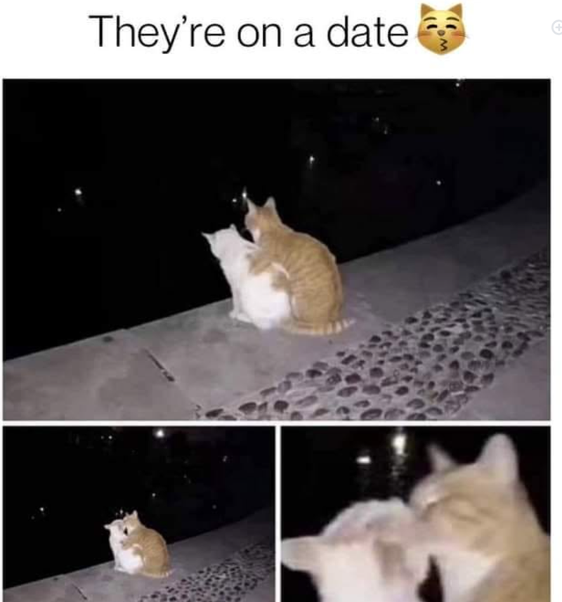 They're on a date