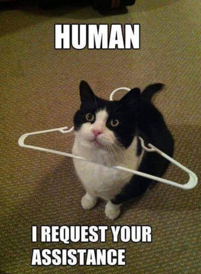 HUMAN I REQUEST YOUR ASSISTANCE
