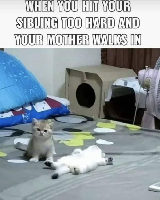 WHEN YOU HIT YOUR SIBLING TOO HARD AND YOUR MOTHER WALKS IN