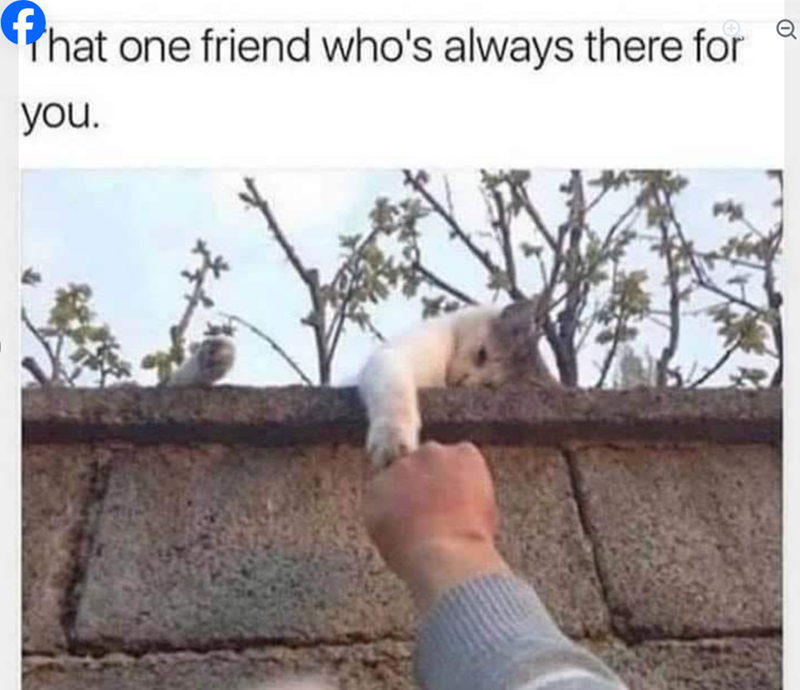 That one friend who's always there for you.