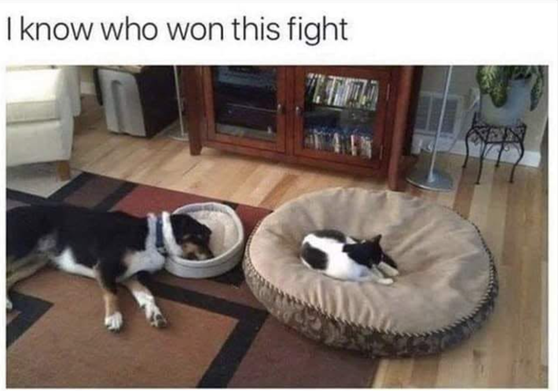 I know who won this fight