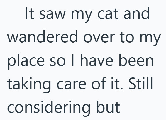 It saw my cat and wandered over to my place so I have been taking care of it. Still considering but
