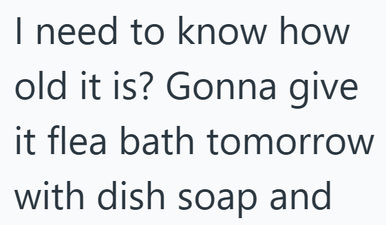 I need to know how old it is? Gonna give it flea bath tomorrow with dish soap and