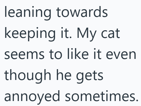 leaning towards keeping it. My cat seems to like it even though he gets annoyed sometimes.