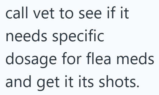 call vet to see if it needs specific dosage for flea meds and get it its shots.