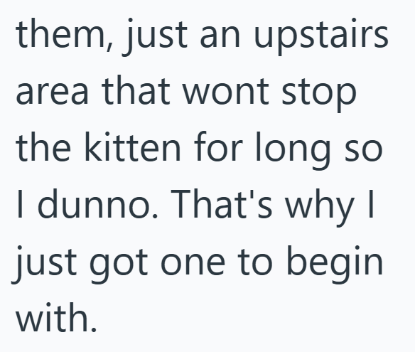 them, just an upstairs area that wont stop the kitten for long so I dunno. That's why I just got one to begin with.