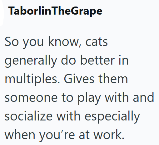 TaborlinTheGrape So you know, cats generally do better in multiples. Gives them someone to play with and socialize with especially when you're at work.