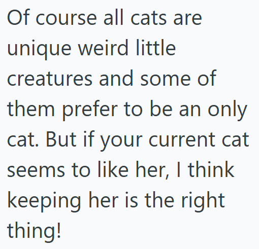 Of course all cats are unique weird little creatures and some of them prefer to be an only cat. But if your current cat seems to like her, I think keeping her is the right thing!