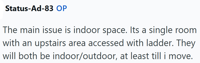 Status-Ad-83 OP The main issue is indoor space. Its a single room with an upstairs area accessed with ladder. They will both be indoor/outdoor, at least till i move.