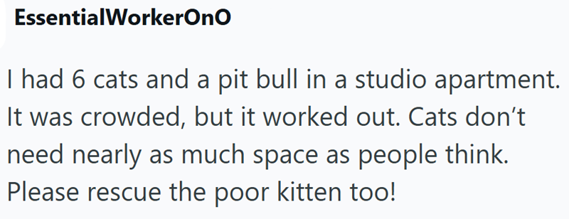 EssentialWorkerOnO I had 6 cats and a pit bull in a studio apartment. It was crowded, but it worked out. Cats don't need nearly as much space as people think. Please rescue the poor kitten too!