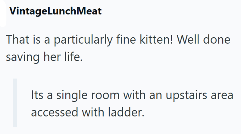 VintageLunch Meat That is a particularly fine kitten! Well done saving her life. Its a single room with an upstairs area accessed with ladder.