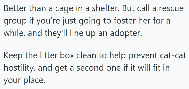 Better than a cage in a shelter. But call a rescue group if you're just going to foster her for a while, and they'll line up an adopter. Keep the litter box clean to help prevent cat-cat hostility, and get a second one if it will fit in your place.