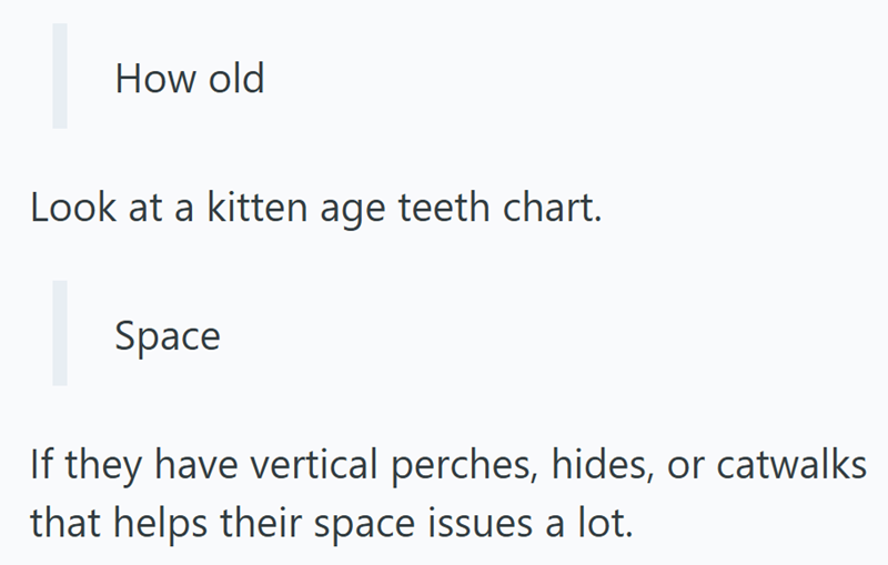 How old Look at a kitten age teeth chart. Space If they have vertical perches, hides, or catwalks that helps their space issues a lot.