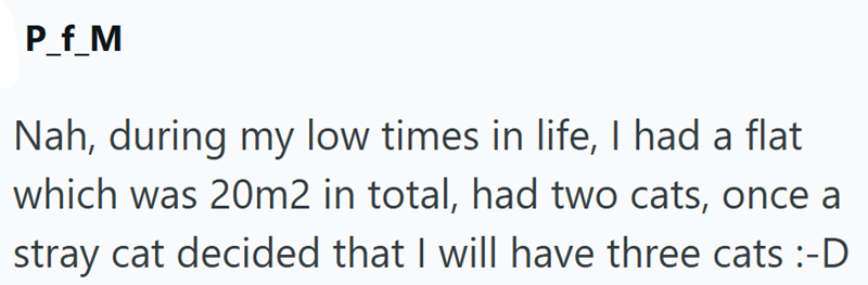 P_f_M Nah, during my low times in life, I had a flat which was 20m2 in total, had two cats, once a stray cat decided that I will have three cats :-D
