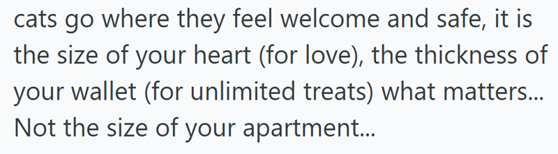 cats go where they feel welcome and safe, it is the size of your heart (for love), the thickness of your wallet (for unlimited treats) what matters... Not the size of your apartment...