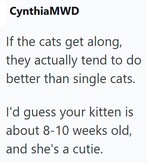 Cynthia MWD If the cats get along, they actually tend to do better than single cats. I'd guess your kitten is about 8-10 weeks old, and she's a cutie.