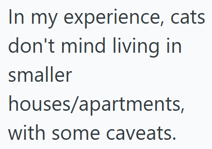 In my experience, cats don't mind living in smaller houses/apartments, with some caveats.