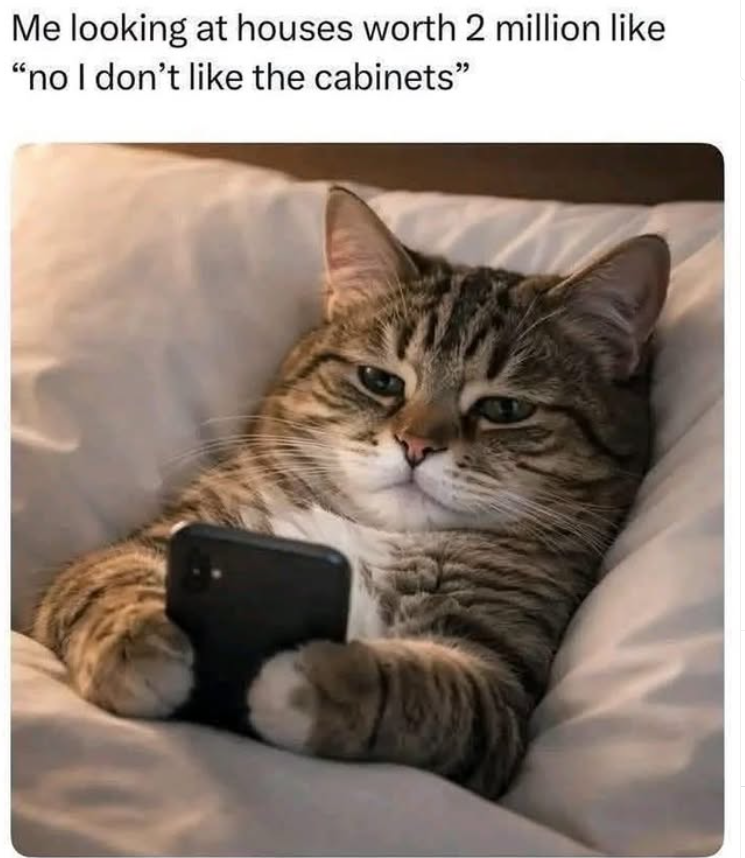 Me looking at houses worth 2 million like "no I don't like the cabinets"