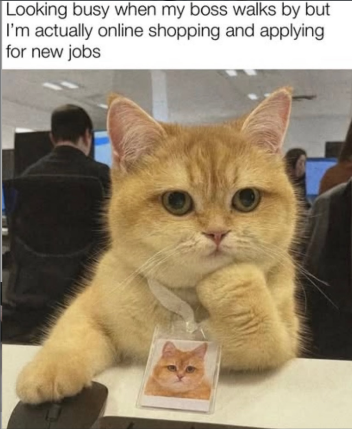 Looking busy when my boss walks by but I'm actually online shopping and applying for new jobs