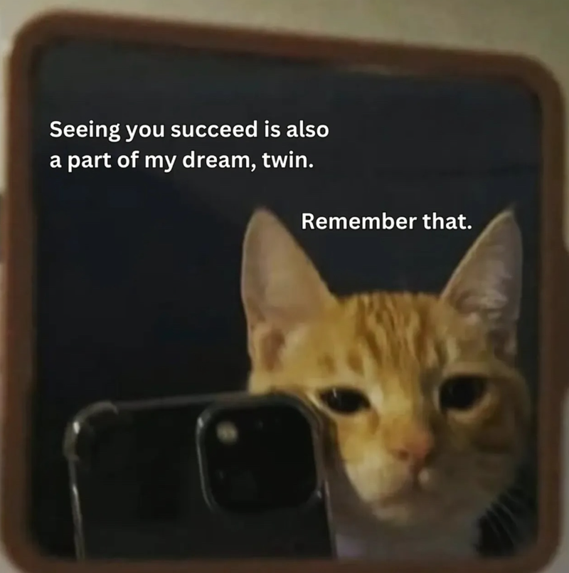 Seeing you succeed is also a part of my dream, twin. Remember that.