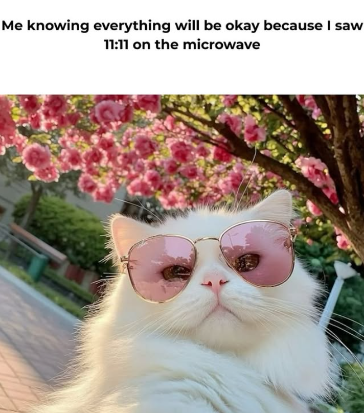Me knowing everything will be okay because I saw 11:11 on the microwave