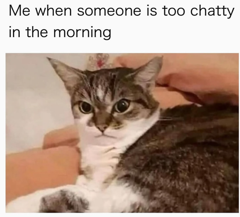 Me when someone is too chatty in the morning