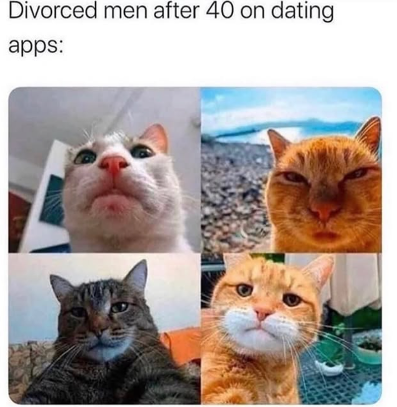 Divorced men after 40 on dating apps: