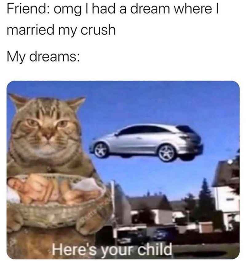 Friend: omg I had a dream where I married my crush My dreams: Shutte Here's your child