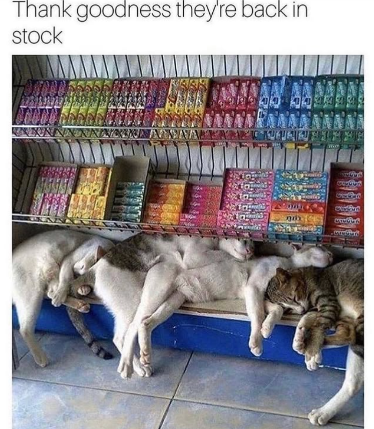 Thank goodness they're back in stock 487865 CLCCES CHEES