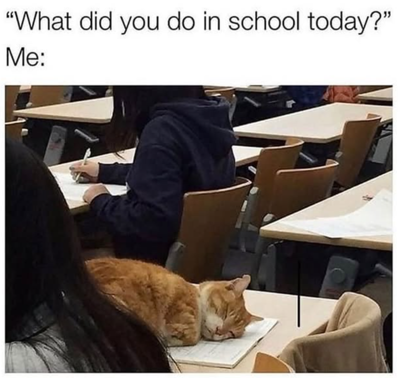 "What did you do in school today?" Me: