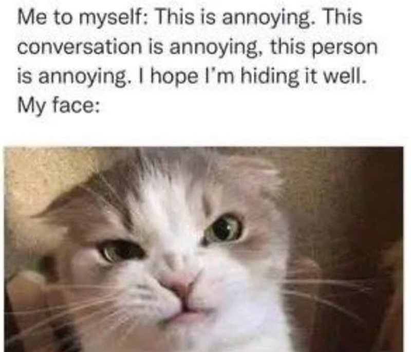 Me to myself: This is annoying. This conversation is annoying, this person is annoying. I hope I'm hiding it well. My face: