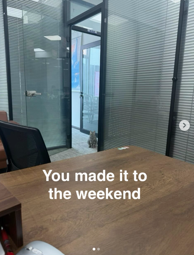 You made it to the weekend