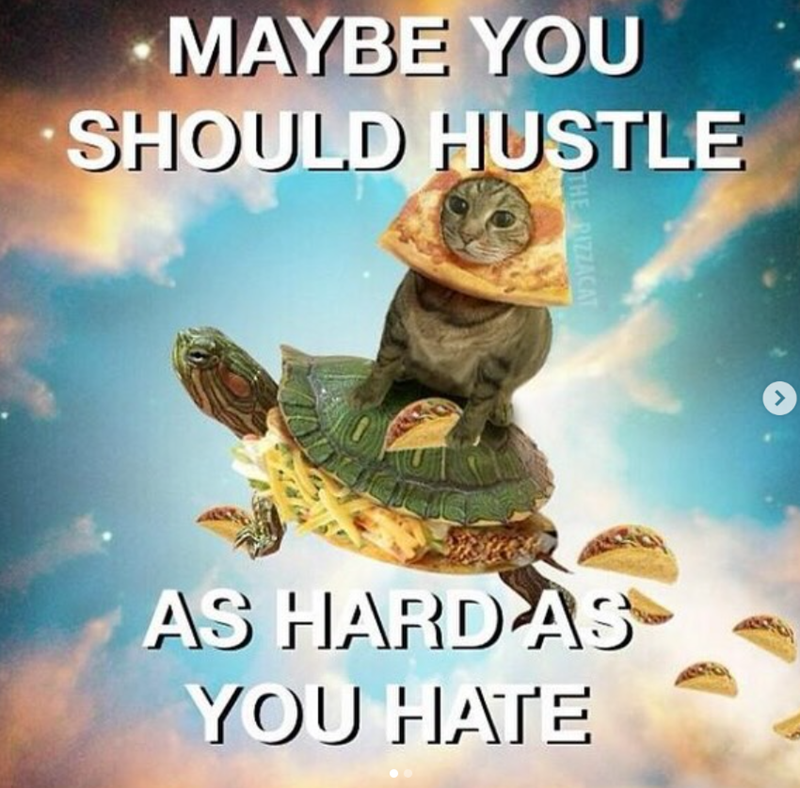 -MAYBE YOU SHOULD HUSTLE THE PIZZACAT AS HARD AS YOU HATE >