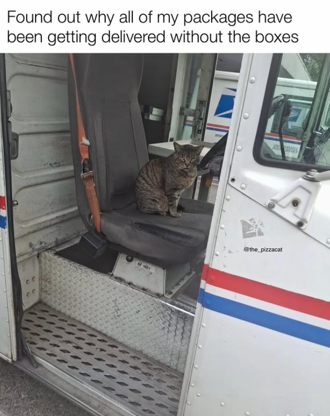 Found out why all of my packages have been getting delivered without the boxes ww @the_pizzacat