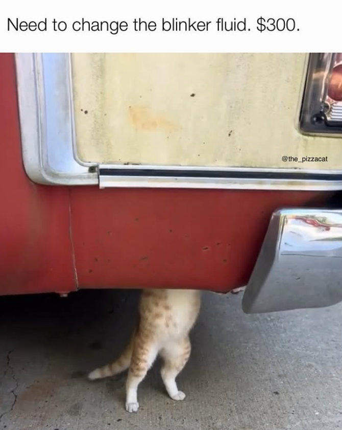 Need to change the blinker fluid. $300. @the_pizzacat