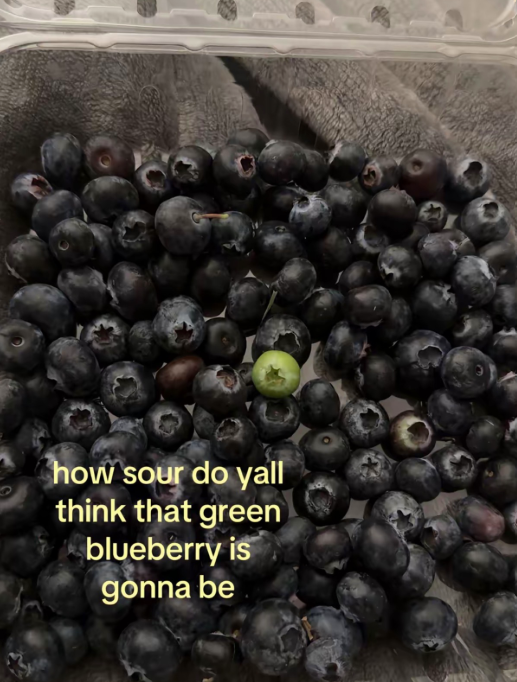how sour do yall think that green blueberry is gonna be
