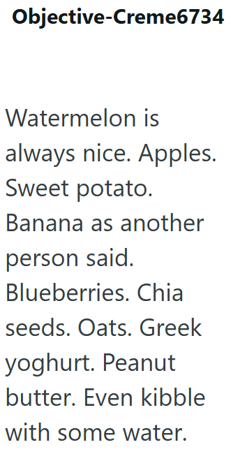 Objective-Creme6734 Watermelon is always nice. Apples. Sweet potato. Banana as another person said. Blueberries. Chia seeds. Oats. Greek yoghurt. Peanut butter. Even kibble with some water.