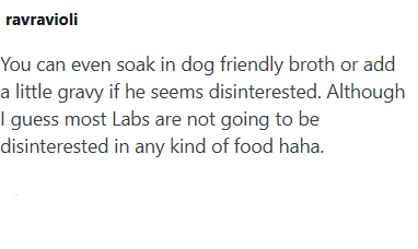 ravravioli You can even soak in dog friendly broth or add a little gravy if he seems disinterested. Although I guess most Labs are not going to be disinterested in any kind of food haha.