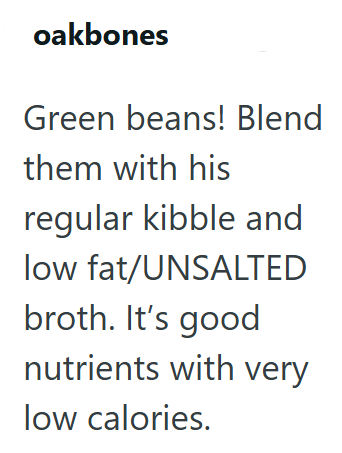 oakbones Green beans! Blend them with his regular kibble and low fat/UNSALTED broth. It's good nutrients with very low calories.
