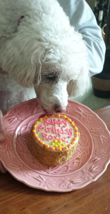 Kappy irthday Rox