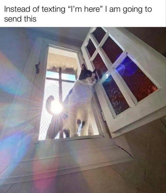 Instead of texting "I'm here" I am going to send this